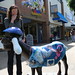 Kathleen Corcoran Photo 19