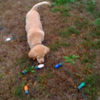 Judy Swarts Photo 3