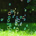 Wendy Weeks Photo 9