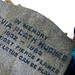 Thomas Plath Photo 10