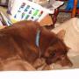 Tim Pickard Photo 13