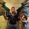 David An Photo 24