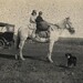 Gerald Morton Photo 9