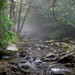 Allan Hunt Photo 11