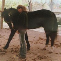 Barb Joyce Photo 32