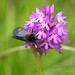 Joyce Stewart Photo 23