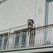 Gary Capps Photo 10