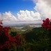 Thomas Dow Photo 10