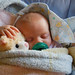 Teddy Lamb Photo 18