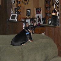Susan Yeager Photo 14