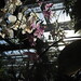 Melissa Chadd Photo 10