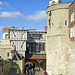 Henry Bell Photo 15