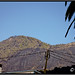 Richard Labore Photo 10