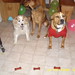 Roy Wiley Photo 18