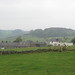 Anthony Hill Photo 25