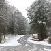 Cindy Snell Photo 36