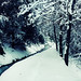 Jennifer Huggins Photo 8