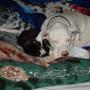 Robin Sanborn Photo 21