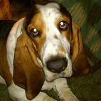 Brenda Parker Photo 35