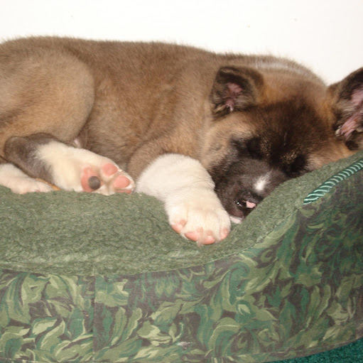 Darlene Tucker Photo 39