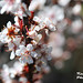 Vicky Green Photo 18