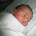 Lawrence Harrison Photo 16