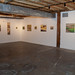 Anne Haley Photo 6