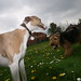Jessie Oldham Photo 11