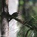 Rita Strickland Photo 21