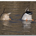 John Estes Photo 31