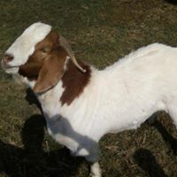 Matthew Landers Photo 25