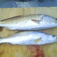 Jason Vandyke Photo 7