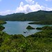 Sam Hong Photo 12