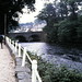 Richard Carlson Photo 36