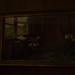 William Elkins Photo 37