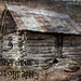 Steve Waddell Photo 38