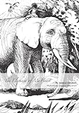 The Elephant Of My Heart