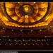 Allan Fox Photo 35