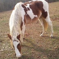 Linda Moats Photo 21