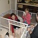Nancy Carey Photo 18