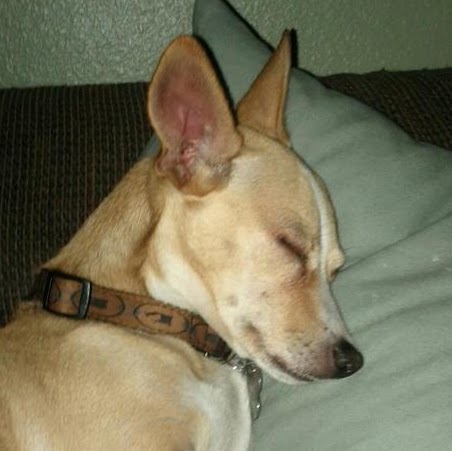 Cindy Gordon Photo 8