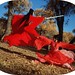 Ying Zhang Photo 39