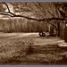 Martha Wells Photo 30