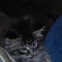Nancy Ferrell Photo 26