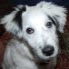 Joyce Meuse Photo 7