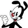 Yakko Warner Photo 15