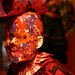 Caroline Fuchs Photo 18