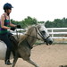 Rodney Larson Photo 15