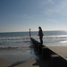 Tracey Poole Photo 19