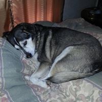 Susan Loomis Photo 32